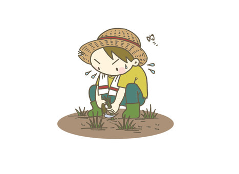 ざっそうたち(;´･ω･)