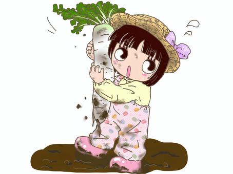 本日も収穫(*^^)v