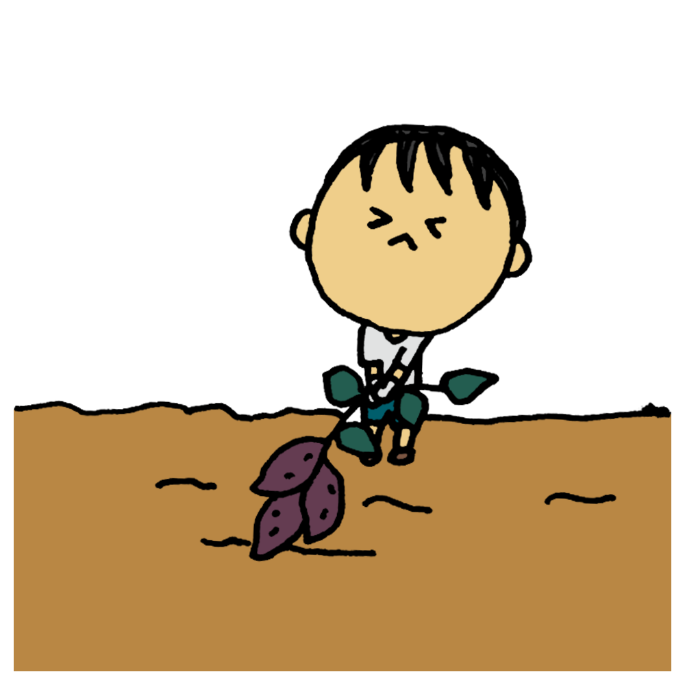 １１月に芋( ﾟДﾟ)