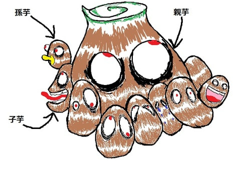 収獲(^^)