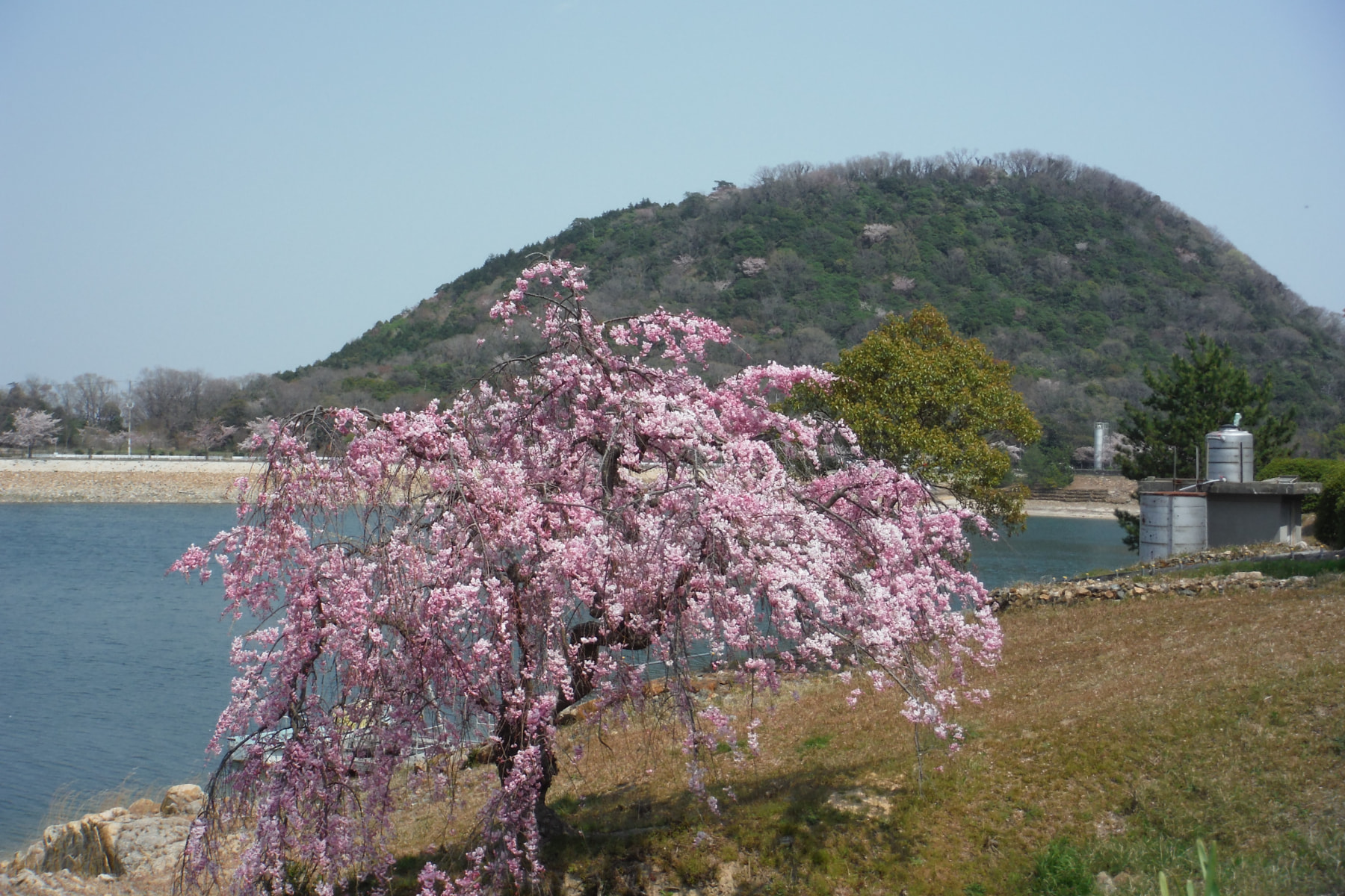 北山ダム＆甲山(‘ω’)ノ