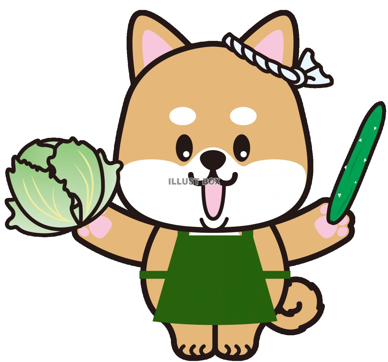 野菜販売!?